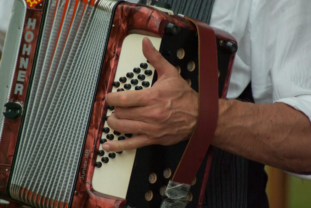 musician, accordion, music, artist, accordion, accordion, accordion, accordion, accordion